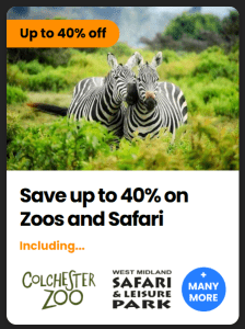 Discover the Wonders of Colchester Zoo! - Colchester