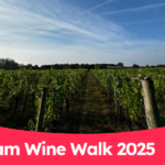 Vineyard view at Dedham Wine Walk 2025 in Essex