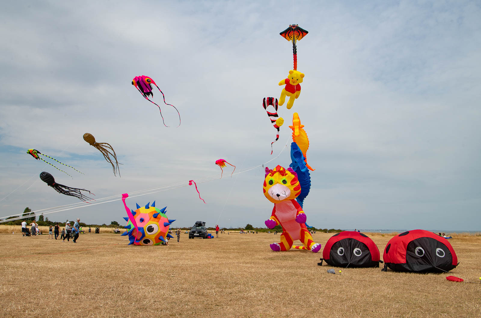 πͺ Kite Festival 1 πͺ Kite Festival