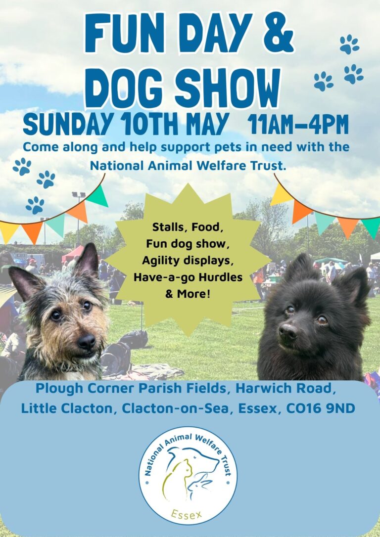 Poster for the Fun Day & Dog Show event featuring dogs and community activities.