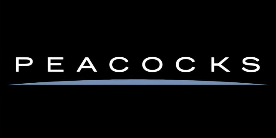 Peacocks Harwich | Affordable Fashion for Men, Women & Kids